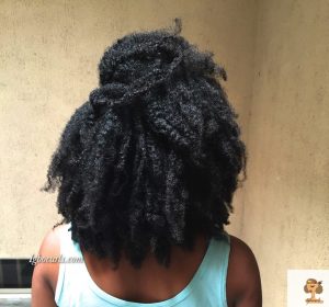 Build a Regimen- Mid Length Natural Hair