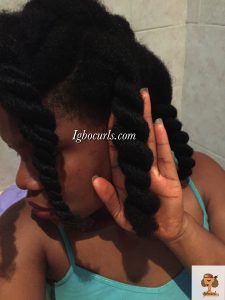 I sectioned my hair in Jumbo Twists