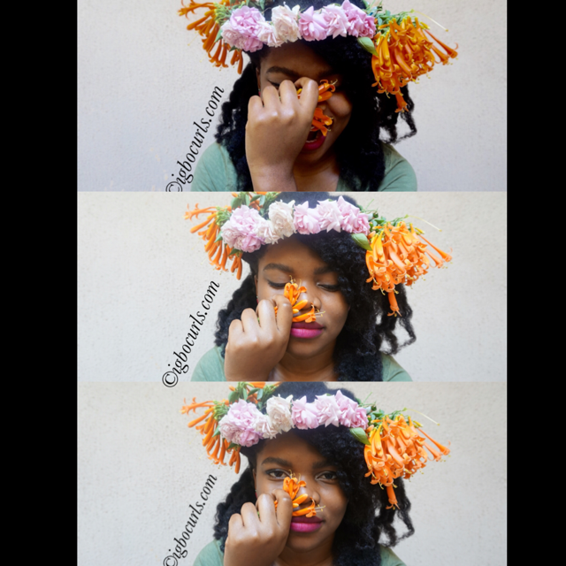 DIY Floral Crown