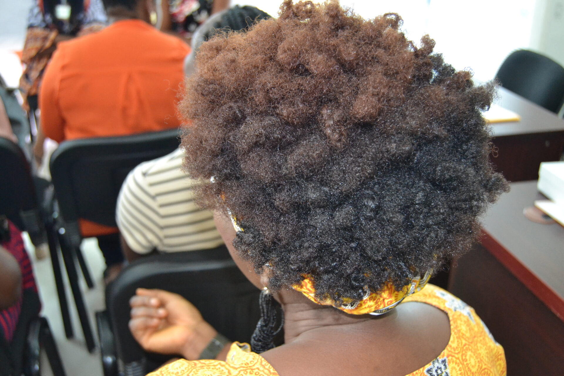 Lumonaturals JUNGO 2.0 Recap