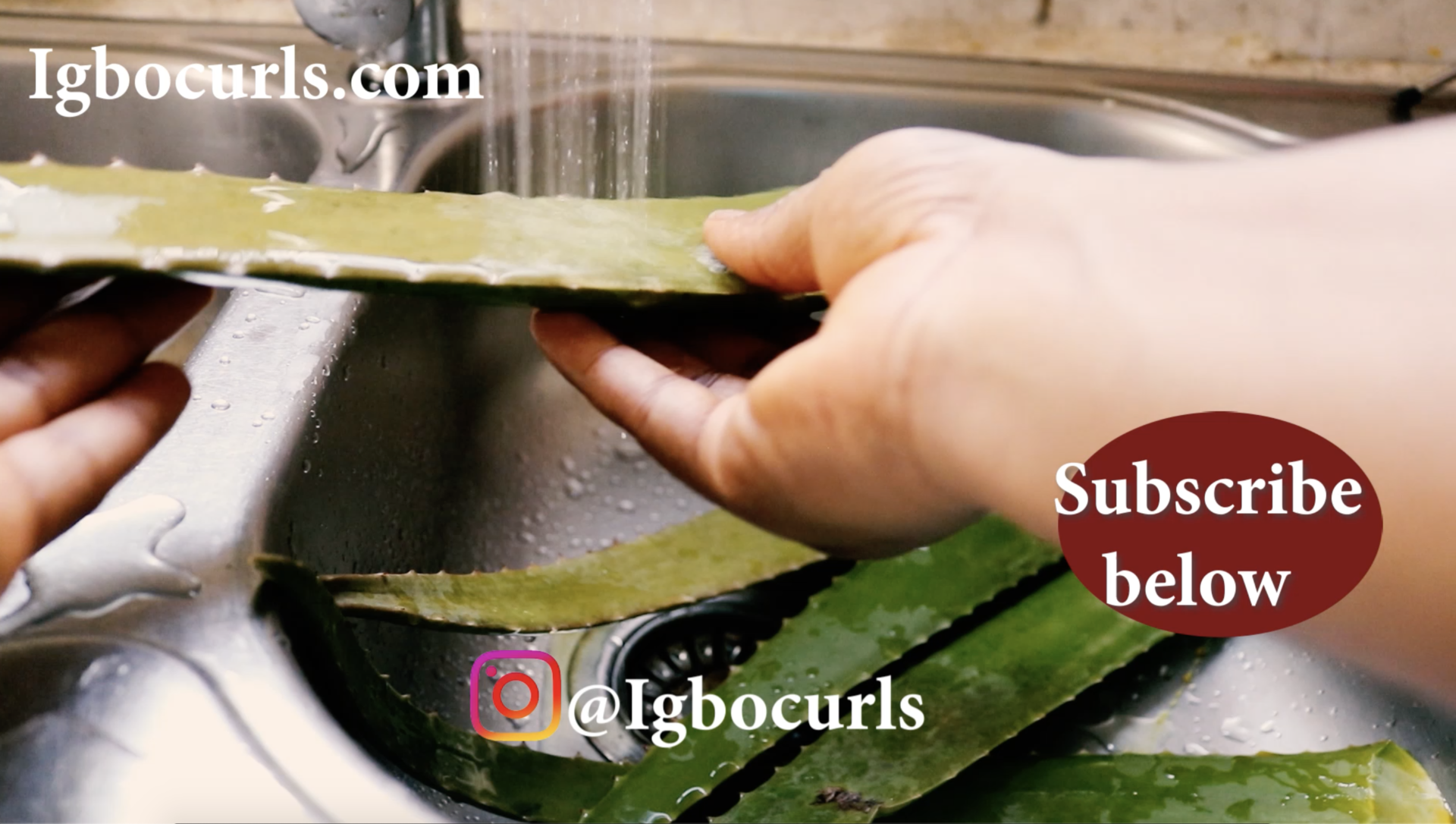 how to make Aloe Vera hair oil