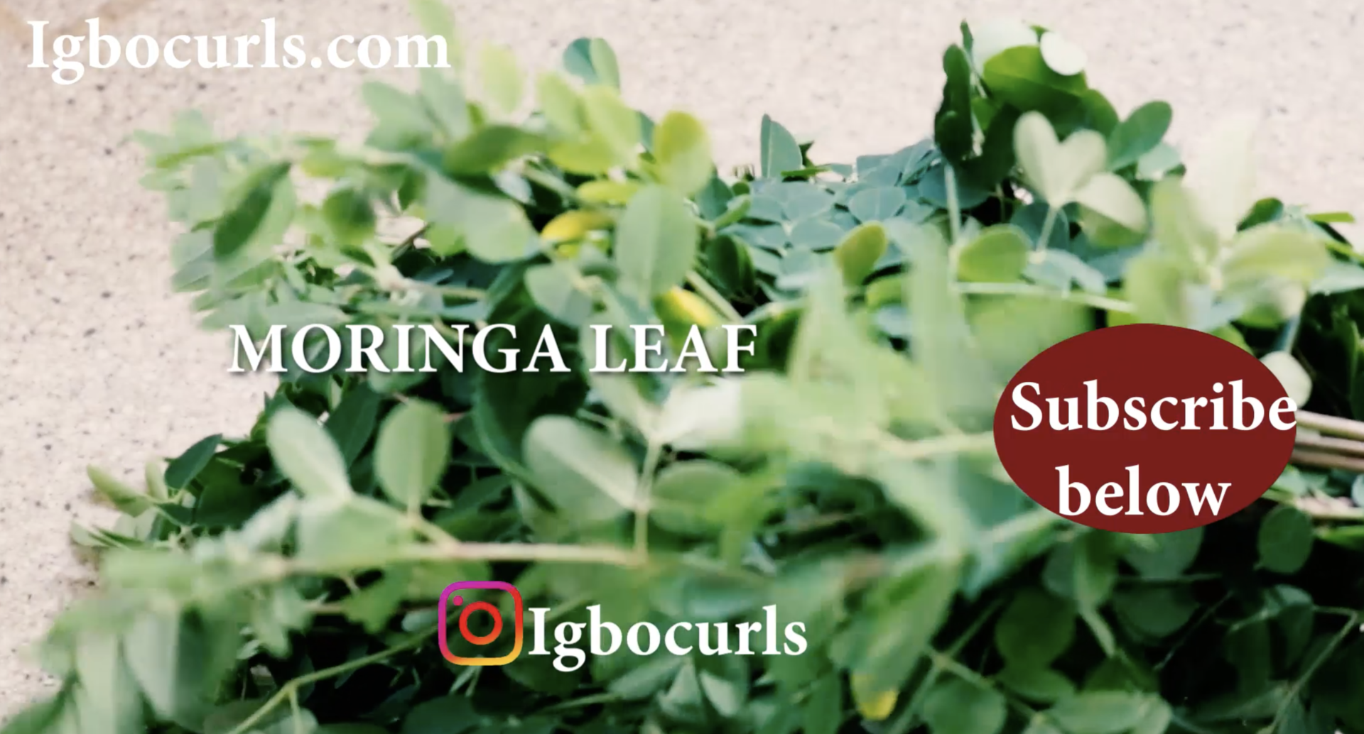 how to make Aloe Vera hair oil